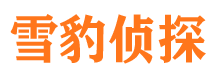 秦皇岛侦探调查公司